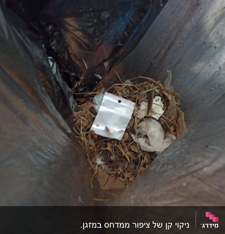 שקית אשפה עם עלים ופסולת